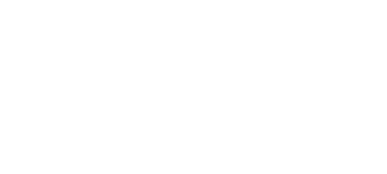 TriSec Consulting